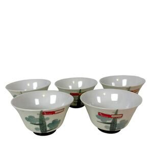 Shirokiya Matcha Tea Cup Bowls Set of 5 Ceramic Japanese Japan Rice Bowl